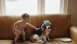 세상을 떠난 반려견과 편지를 주고 받은 아이