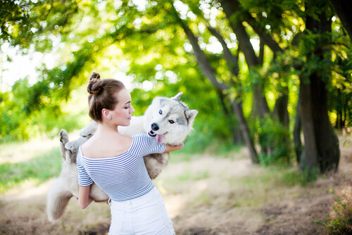 개는 왜 하루 종일 잠을 잘까?