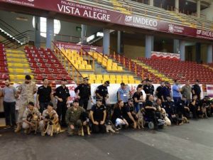 은퇴한 경찰견 입양을 고려해야 하는 이유