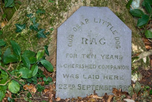 반려동물 전용 묘지