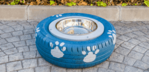 환경 보호까지 생각하는 반려견용 DIY 물그릇