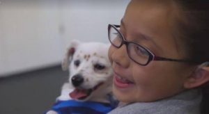 개가 당뇨병을 판별할 수 있다