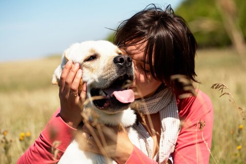개는 포옹을 싫어한다는 사실을 알고 있는가?