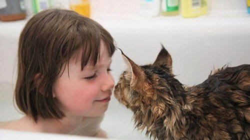 자폐증 소녀와 고양이의 감동적인 우정