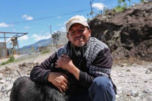 에콰도르의 지진: 집을 떠나지 않는 개