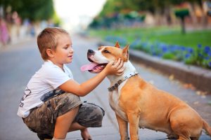 개가 소아 천식을 치료하는 방법