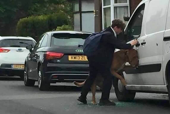 목줄에 질식할 뻔한 개를 구한 학생