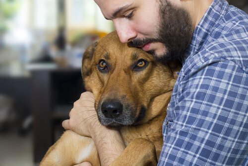 개가 암에 걸리지 않도록 예방할 수 있을까?
