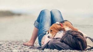 스트레스를 피하라 개가 암에 걸리지 않도록 예방할 수 있을까?