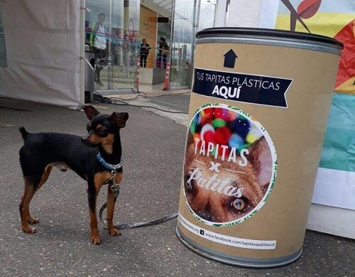 재활용을 하면서 동물 보호를 돕는 방법