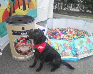 재활용을 하면서 동물 보호를 돕는 방법