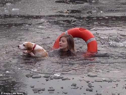 개를 구하려고 꽁꽁 언 호수에 뛰어든 여자
