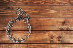 법으로 금지된 개 목줄은 어떤 것일까?