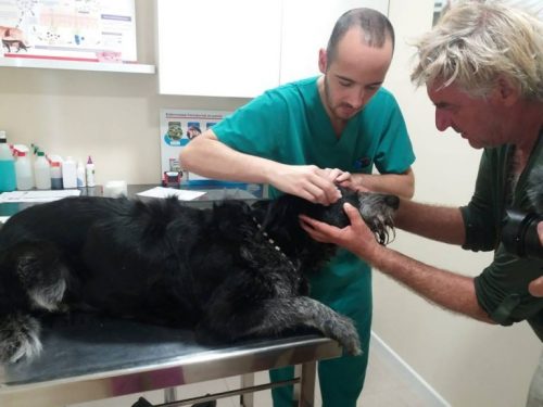 여행 중에 사라진 개