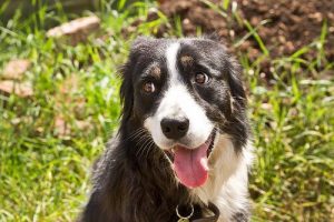 헤드 프레싱은 무엇일까?