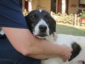 이 세상 끝까지 너와 함께