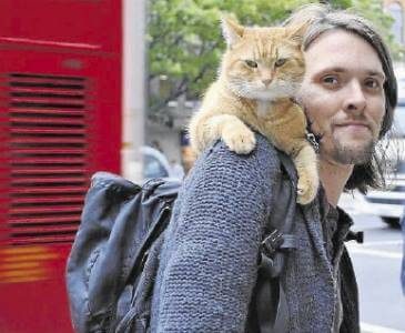 내 어깨 위 고양이 밥