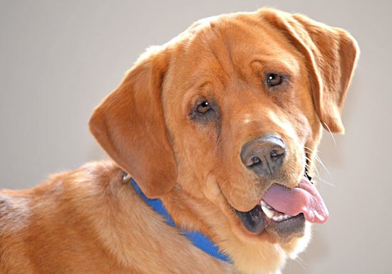 이스트우드 특별한 개