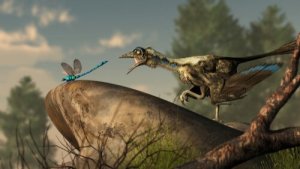 새의 기원은 무엇일까?