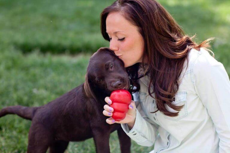반려견의 지능을 향상시키는 방법