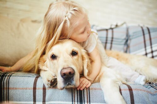 개가 아이들의 천식 증상을 줄여준다