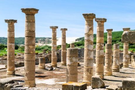 멸종된 고래들이 스페인 연안에서 발견되다