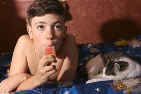 고양이 아이스 캔디