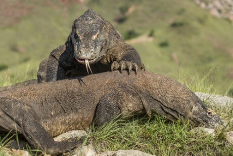 세계에서 가장 아름다운 7대 자연경관