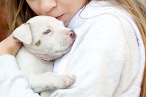 동물 복지에 이바지한 템플 그랜딘 교수