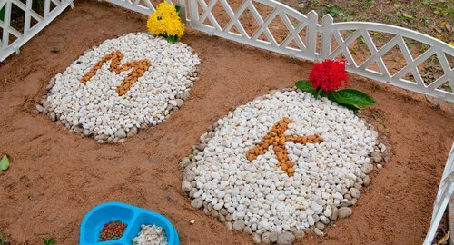 죽은 반려동물의 사체를 처리하는 방법