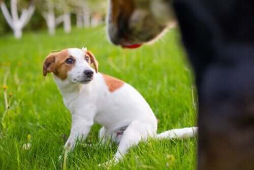 티터치 스트레스