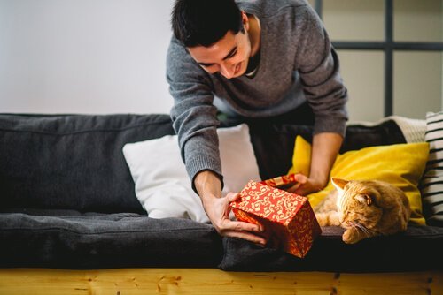 고양이에게 악수를 3