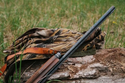 수렵 면허 취득