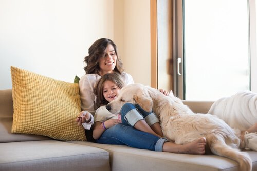 아이들과 반려견의4