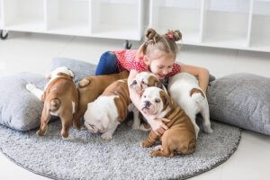 법적으로 얼마나 많은 동물을 집에서 키울 수 있을까?