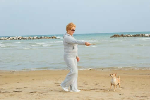 반려견과 운동하기