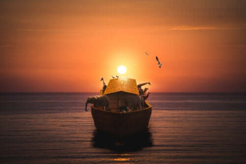 집고양이 노아의 방주