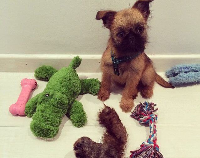 인스타그램 아레바로