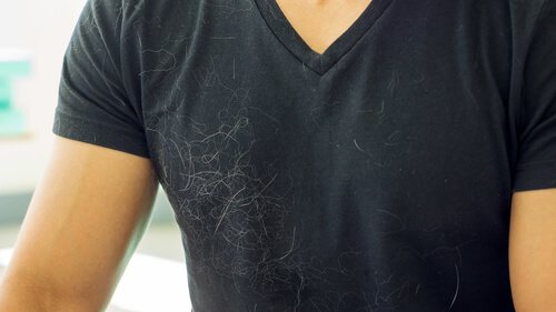 집 안 곳곳의 개털을 제거하는 방법