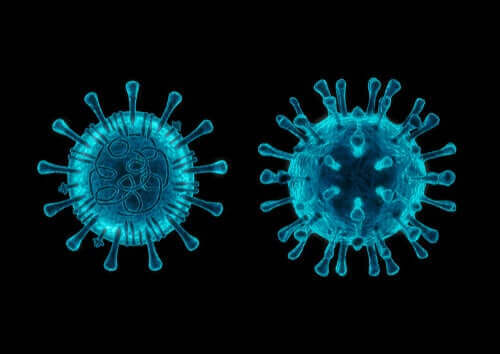 개 코로나바이러스에 대해 알아야 할 5가지