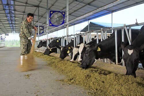 축산위생 및 안전