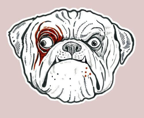 반려동물을 그리는 것