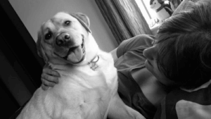 주인의 목숨을 구한 개들의 이야기