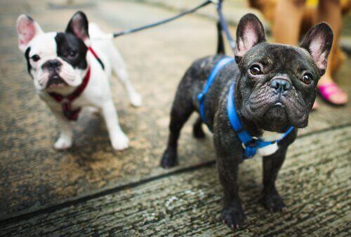 자신이 사는 도시에 무엇이 있는지 파악하기