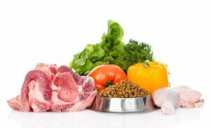 유기농 사료로 바꾸는 이유