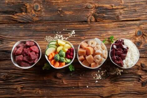 반려동물 사료의 칼로리양