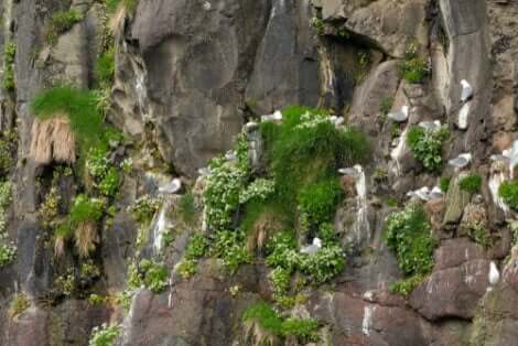 동물 행동학자는 4