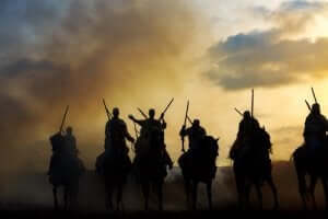 아프리카 말의 성공적인 진화 이야기