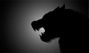 동물화망상은 어떤 정신 질환일까