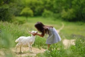 염소를 돌보기 위한 필수 사항 4가지